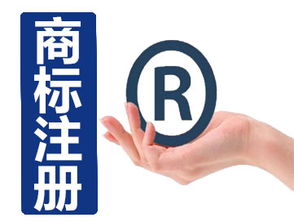 深圳市路浩知識產(chǎn)權(quán)代理 商標(biāo)申請與保護(hù)的專業(yè)護(hù)航者